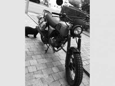 Brixton BX 125 Felsberg Limited (2020) - Photo 2