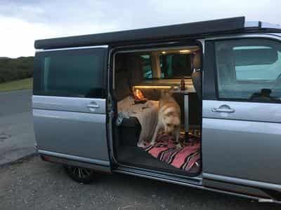 VW California 2.0 Tdi 150 Ocean DSG (2020) - Photo 2