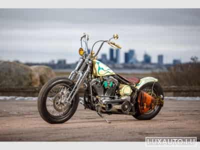 Harley-Davidson Softail Springer Evo (1999) - Photo 1