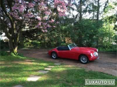 MG A (1958) - Photo 1
