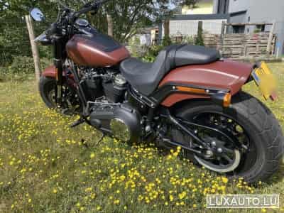 Harley-Davidson Fat Bob 114 (2018) - Photo 7