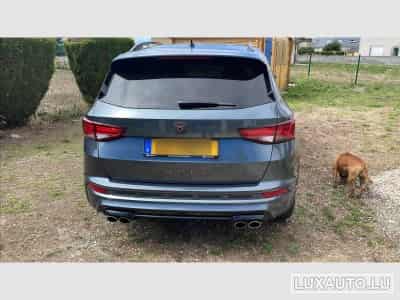 Cupra Ateca (2020) - Photo 3