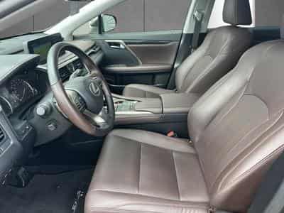 Lexus RX Executive Line (2022) - Photo 11
