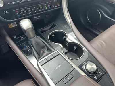 Lexus RX Executive Line (2022) - Photo 13