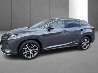 Lexus RX Executive Line (2022) - Photo 2