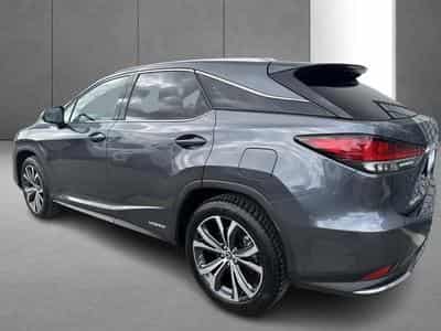 Lexus RX Executive Line (2022) - Photo 3
