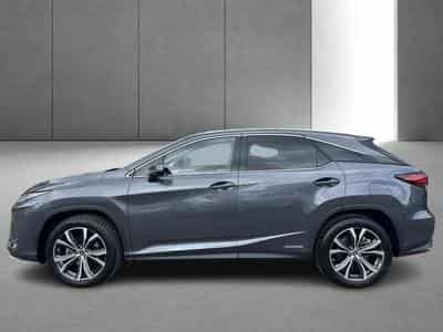 Lexus RX Executive Line (2022) - Photo 5
