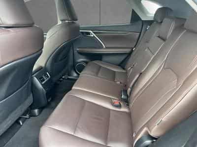 Lexus RX Executive Line (2022) - Photo 9