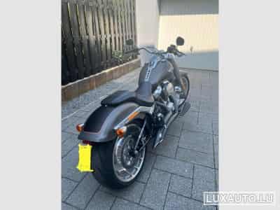 Harley-Davidson Fat Boy (2019) - Photo 2