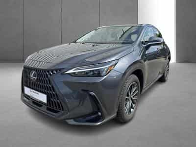 Lexus NX Business Line (2023) - Photo 10