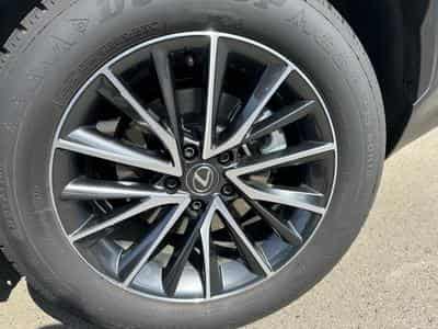 Lexus NX Business Line (2023) - Photo 12