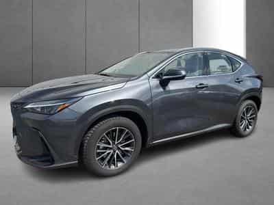 Lexus NX Business Line (2023) - Photo 5