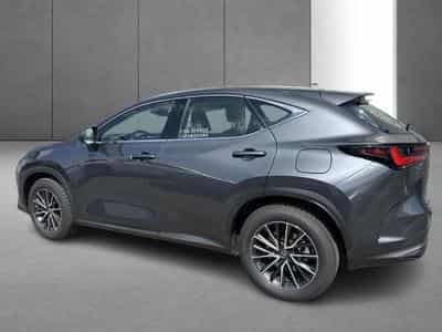 Lexus NX Business Line (2023) - Photo 7