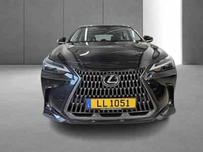 Lexus NX Business Line Awd (2023) - Photo 2