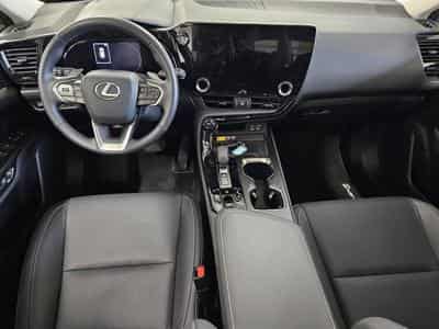 Lexus NX Business Line Awd (2023) - Photo 9