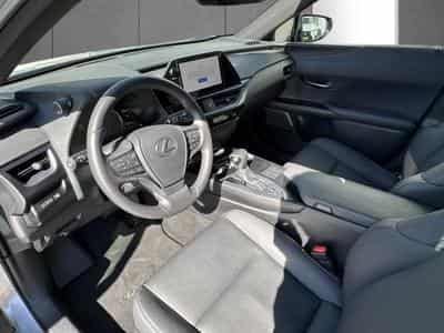 Lexus UX F SPORT Design (2023) - Photo 11