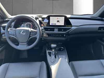 Lexus UX F SPORT Design (2023) - Photo 12