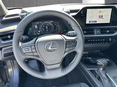 Lexus UX F SPORT Design (2023) - Photo 14