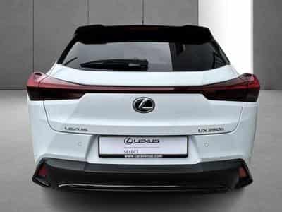 Lexus UX F SPORT Design (2023) - Photo 8