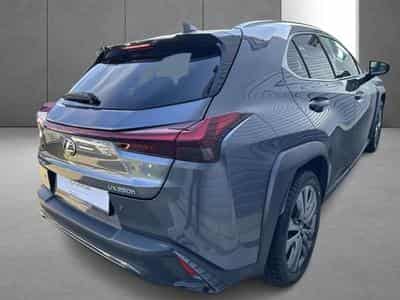 Lexus UX F SPORT Design (2023) - Photo 10