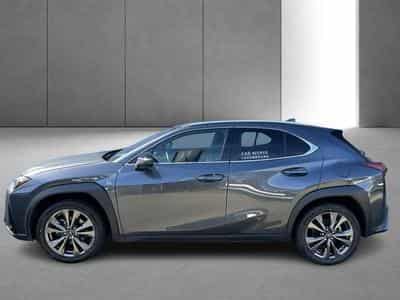 Lexus UX F SPORT Design (2023) - Photo 2