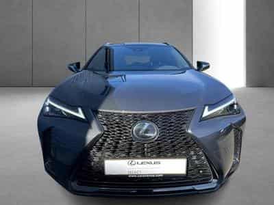 Lexus UX F SPORT Design (2023) - Photo 6
