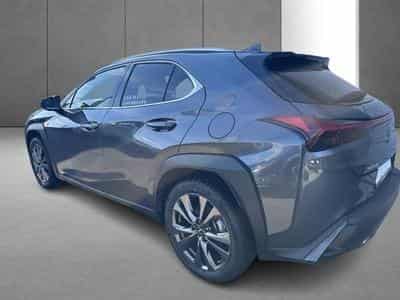 Lexus UX F SPORT Design (2023) - Photo 7