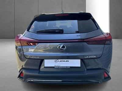 Lexus UX F SPORT Design (2023) - Photo 9