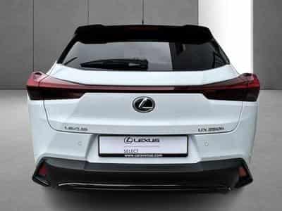 Lexus UX F SPORT Design (2023) - Photo 7