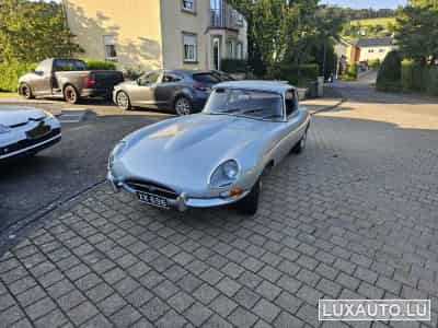 Jaguar E-Type Serie 1 4.2 2+2 (1967) - Photo 10