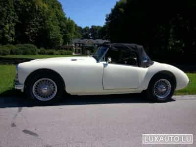 MG A MGA MK II (1962) - Photo 2
