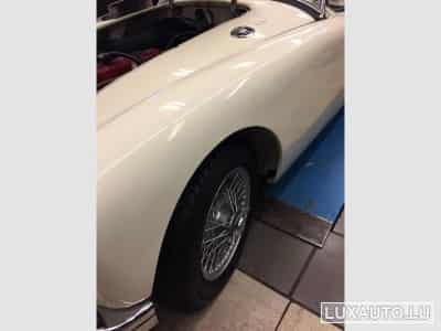 MG A MGA MK II (1962) - Photo 3
