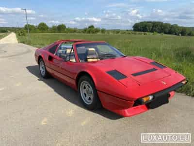 Ferrari 308 GTSi Quattrovalvole USA (1983) - Photo 8
