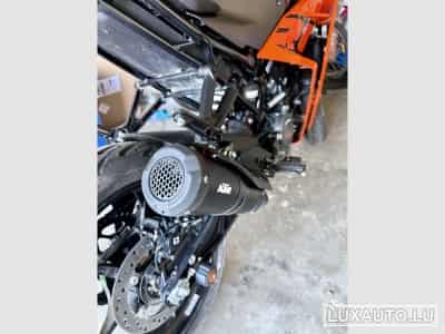 KTM RC (2024) - Photo 4