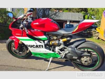Ducati Panigale Ducati special color (2013) - Photo 3