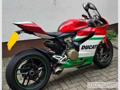 Ducati Panigale Ducati special color (2013) - Photo 4
