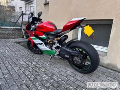 Ducati Panigale Ducati special color (2013) - Photo 6