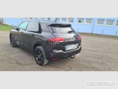 Citroën C4 Cactus PURETECH (2019) - Photo 3