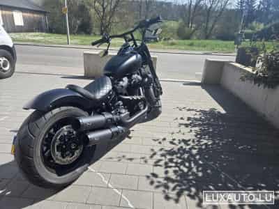 Harley-Davidson Fat Bob Stage 1 et customisé (2020) - Photo 2