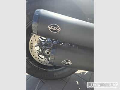 Harley-Davidson Fat Bob Stage 1 et customisé (2020) - Photo 3