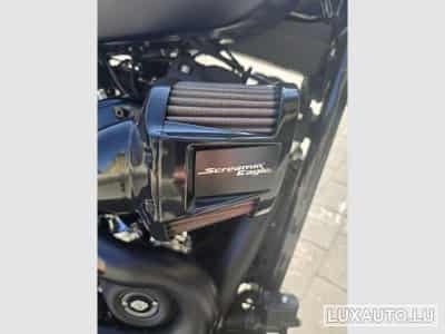 Harley-Davidson Fat Bob Stage 1 et customisé (2020) - Photo 4