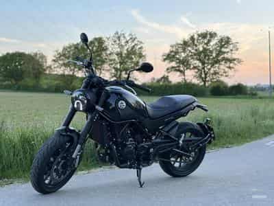 Benelli Leoncino (2021) - Photo 1