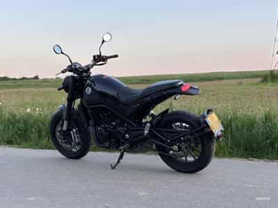 Benelli Leoncino (2021) - Photo 2
