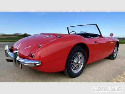Austin-Healey 100 / 6 (1970) - Photo 3