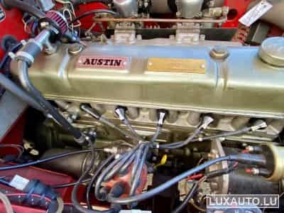 Austin-Healey 100 / 6 (1970) - Photo 9