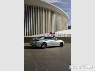 Lexus ES Explorer Line / Business (2024) - Photo 3