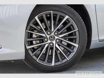 Lexus ES Explorer Line / Business (2024) - Photo 6