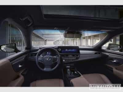 Lexus ES Explorer Line / Business (2024) - Photo 7