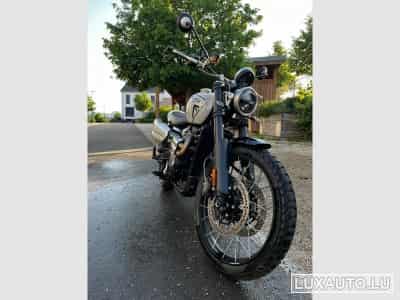 Triumph Scrambler Seitentasche, Quad Lock (2024) - Photo 3