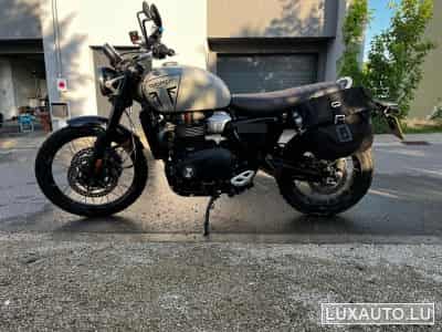 Triumph Scrambler Seitentasche, Quad Lock (2024) - Photo 7